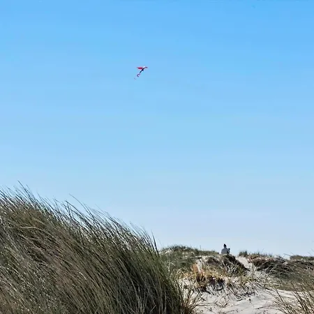 408-hvide-sande-tingodden-142 Hvide Sande